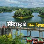 মিরসরাই কিসের জন্য বিখ্যাত