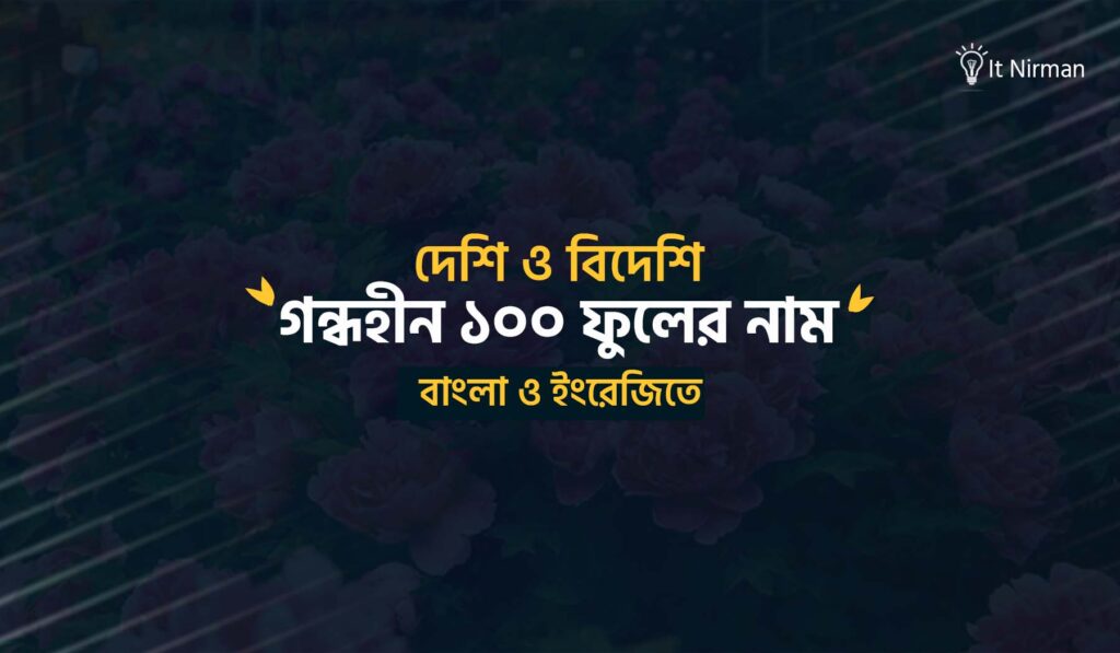 ১০০ গন্ধহীন ফুলের নামের তালিকা বাংলা ও ইংরেজিতে
