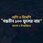 ১০০ গন্ধহীন ফুলের নামের তালিকা বাংলা ও ইংরেজিতে
